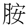胺的臺灣細(xì)明體