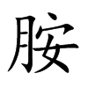 胺的楷體