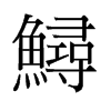 鱘的舊字形