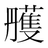 雘的韓國明朝體