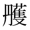 雘的日本明朝體