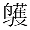 鹱的韓國明朝體