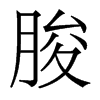 脧的香港明體